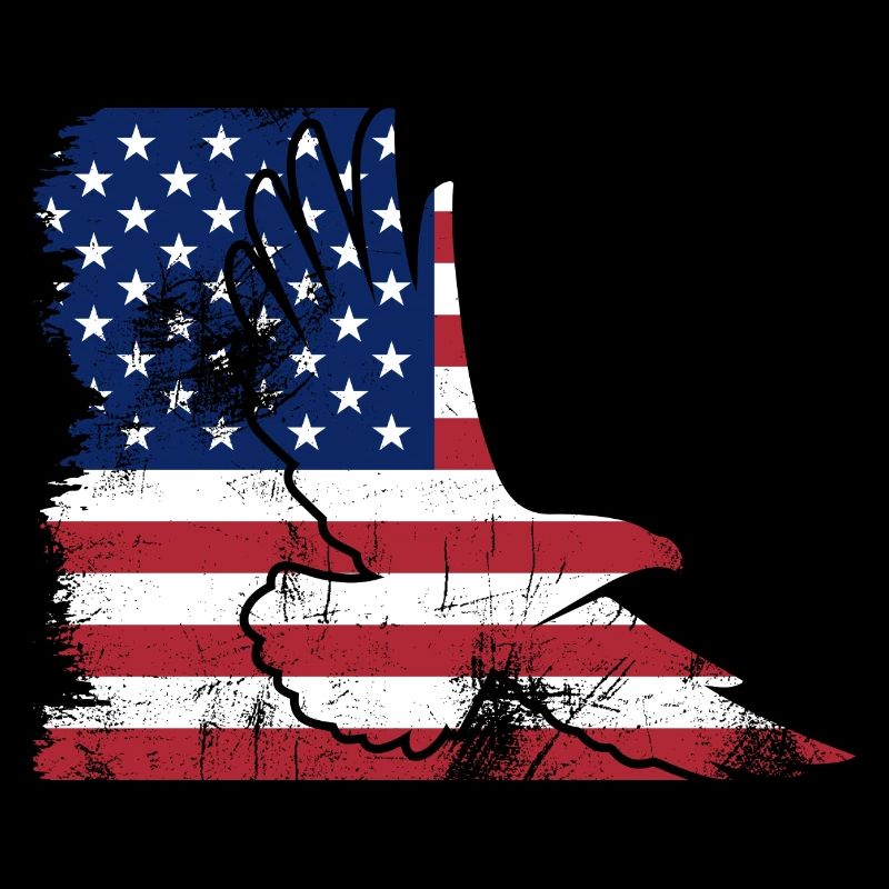 Flag USA Eagle