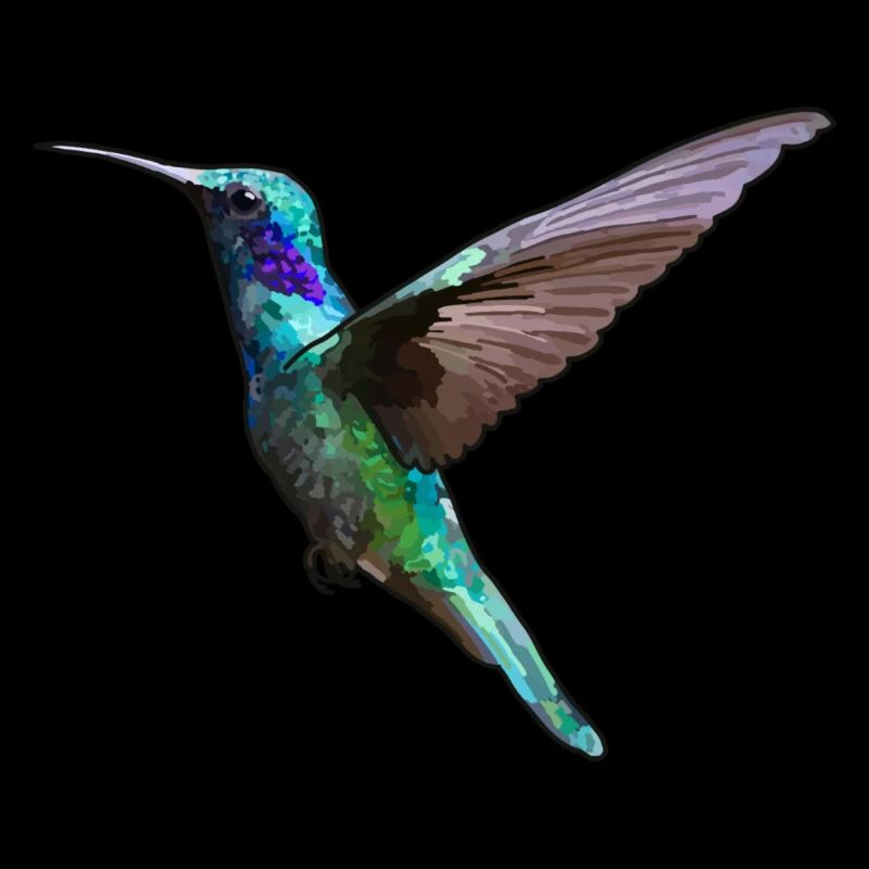 Colibri