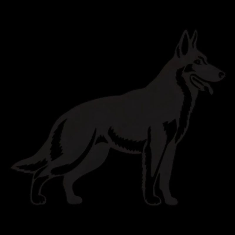 Belgischer Malinois-Schäferhund