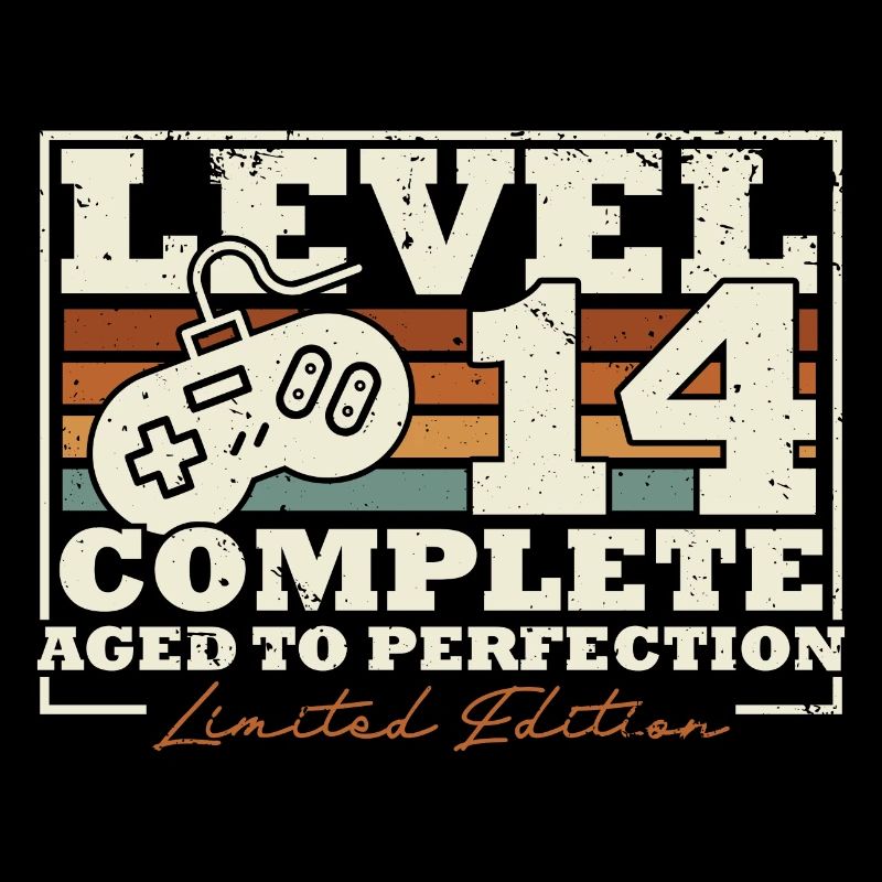 14 Birthday Level 14 Complete 14 Years Gift