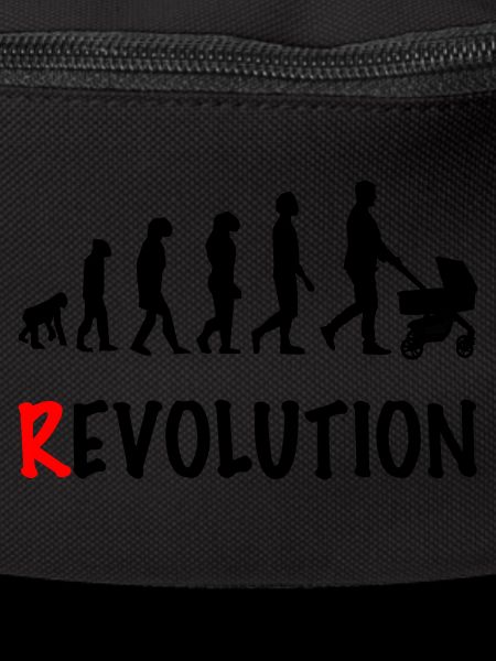 revolution daddy stroller birth