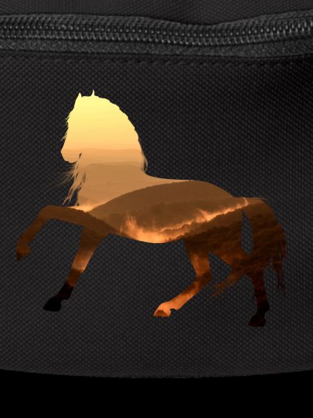 horse
