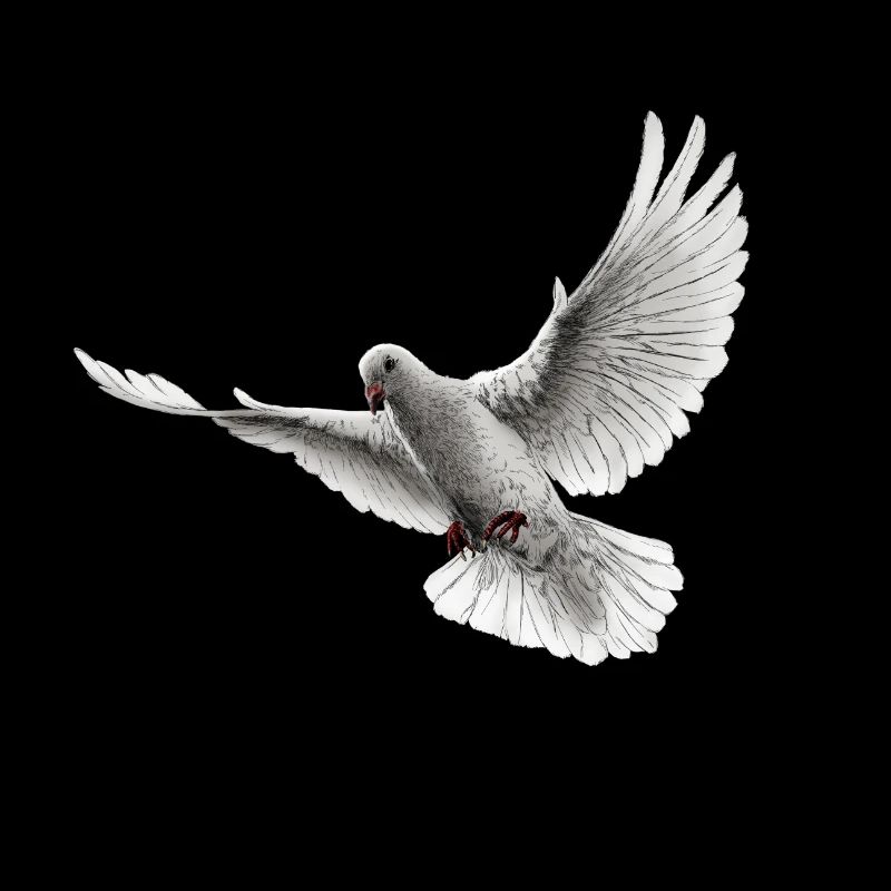 Dove