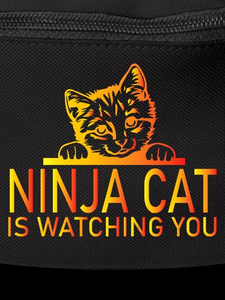 Cat Katze