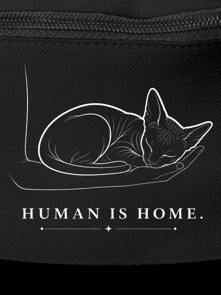 Sphynx Cat – Human Is Home
