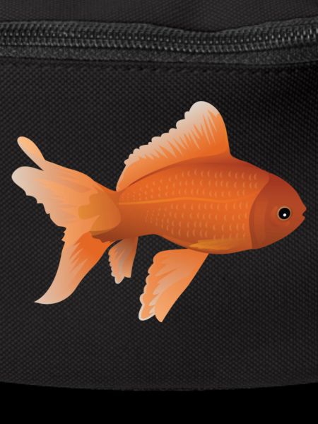 Goldfish