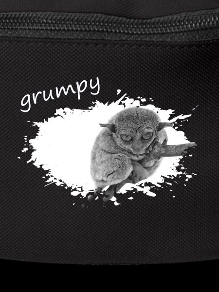 grumpy monkey Tarsier Maki