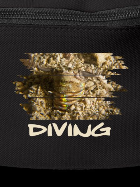 diving Bobbit bobbit worm