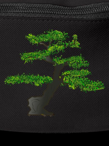bonsai