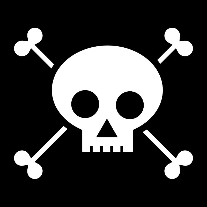 Skull Pirate Flag!