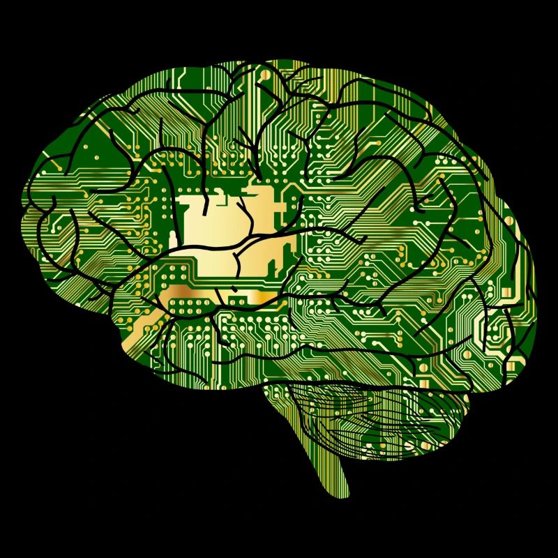 Brain circuitry, electronics