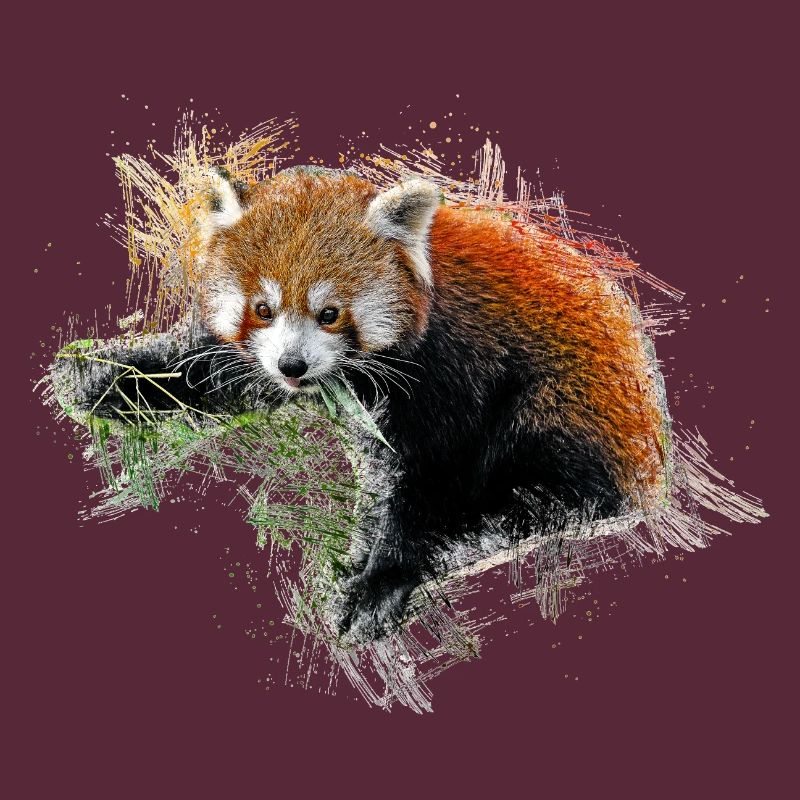 Red panda bear