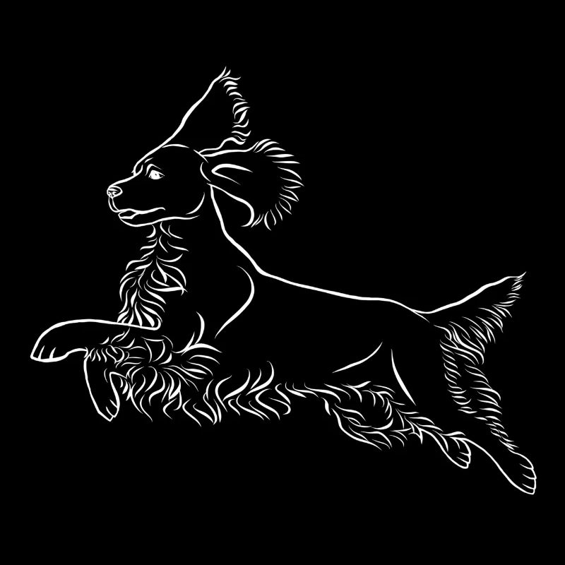 Springer Spaniel