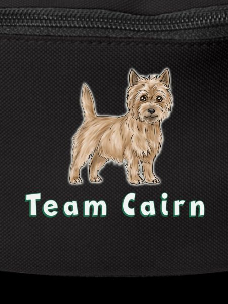 Team Cairn