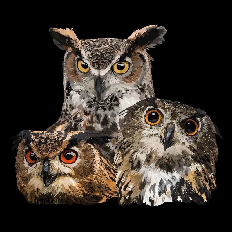 Rapaces nocturnes
