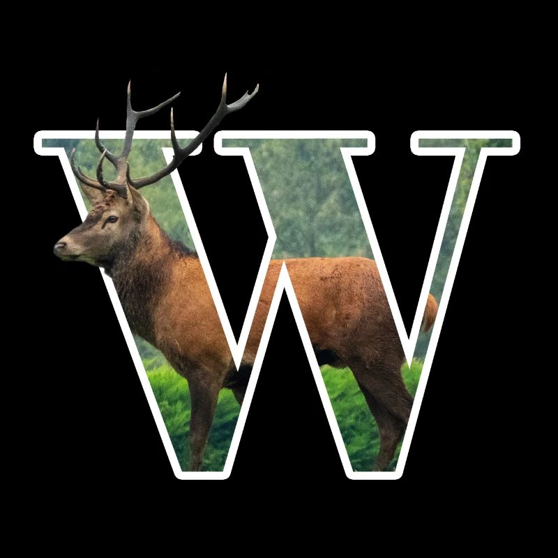 W Wapiti alphabet animaux