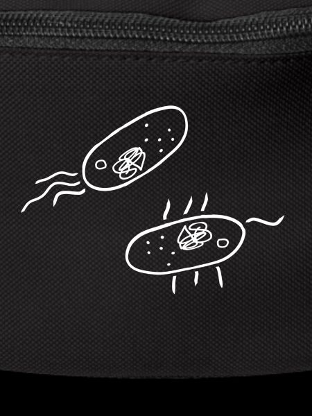 Bactéries Science