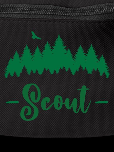 Scout / Scouting