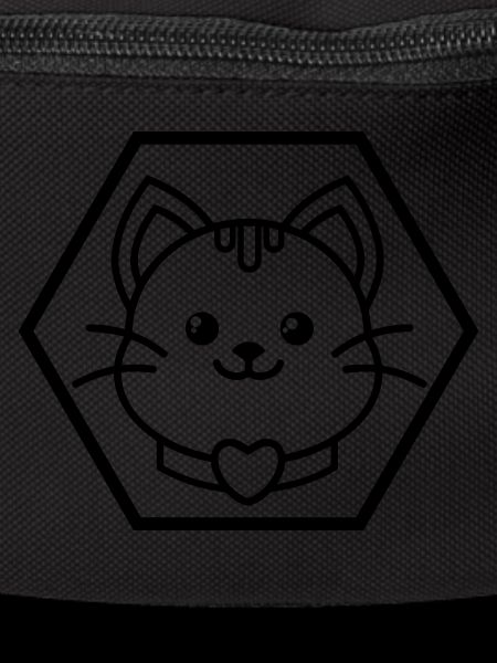 Chat Katze