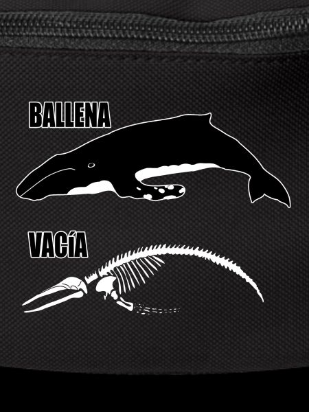 empty whale