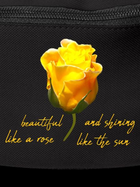 beautiful rose
