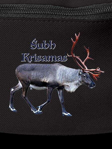 Subh Krisamas
