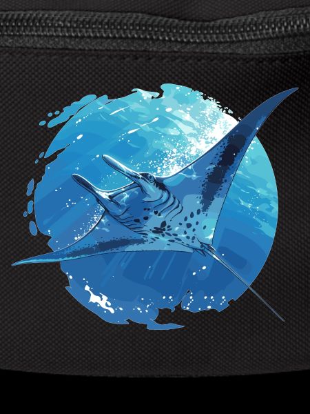 Rays Manta Rays