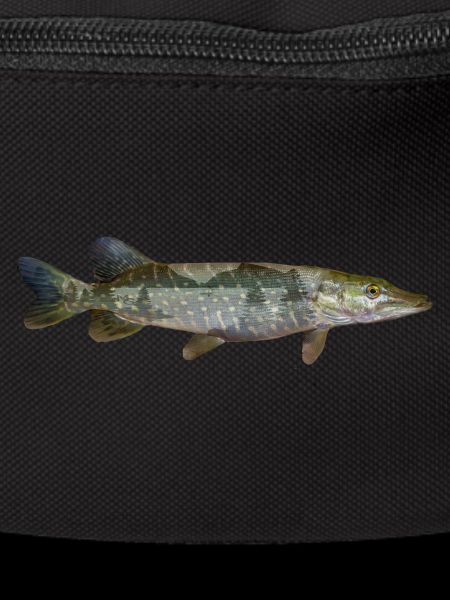 Pike