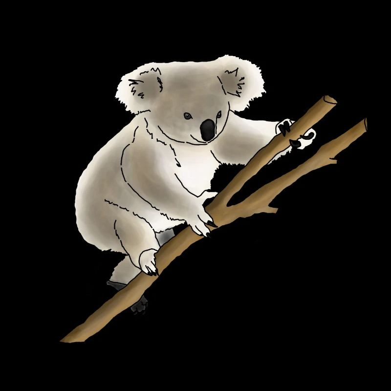 Koala bear