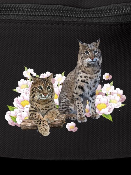 Luchs