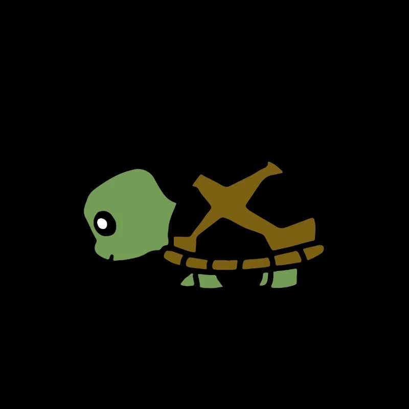 tortue animale 4
