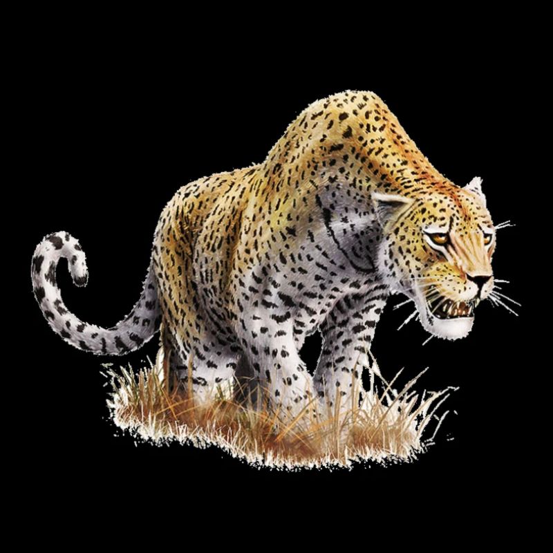 Full-length caricatured cheetah design