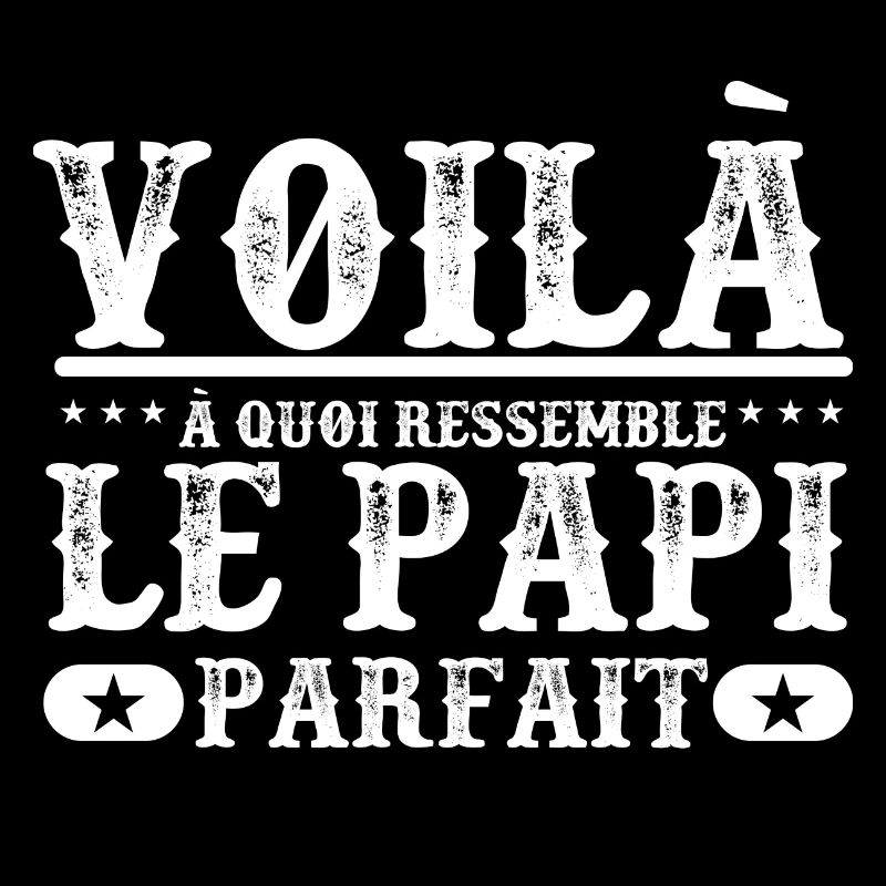 "Papi parfait" t-shirt humour papi