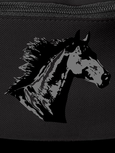 Beautiful Horse Head