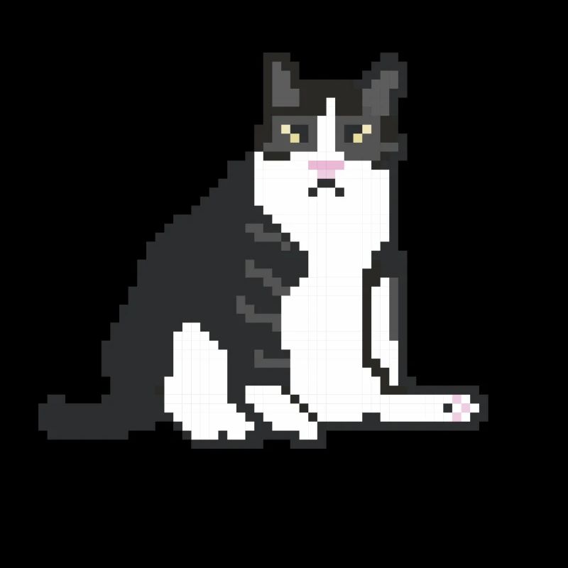gros chat