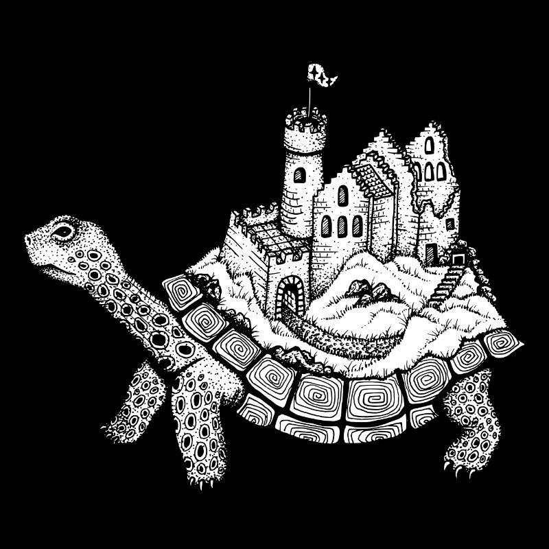 Tortue avec château de Nikki-Luka