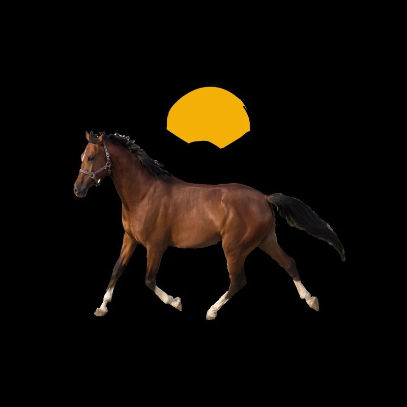 Hannoveraner Pferd
