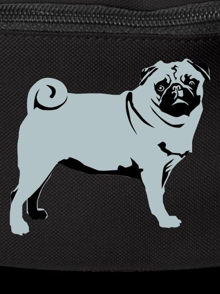 Pug