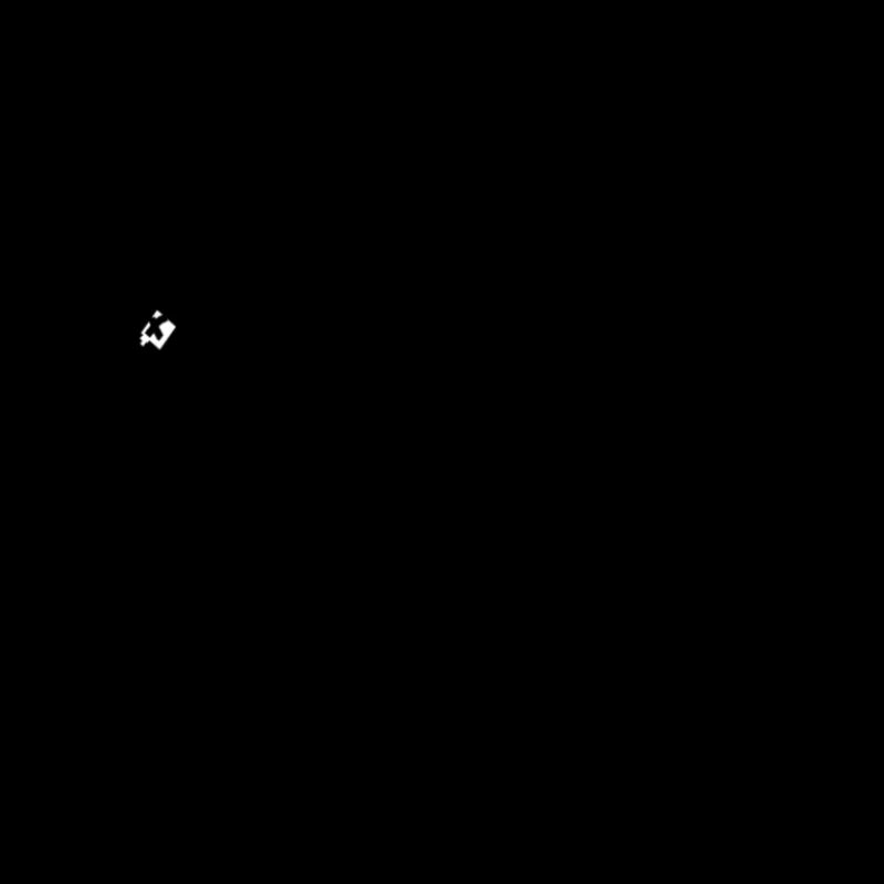 Fisch Kopp