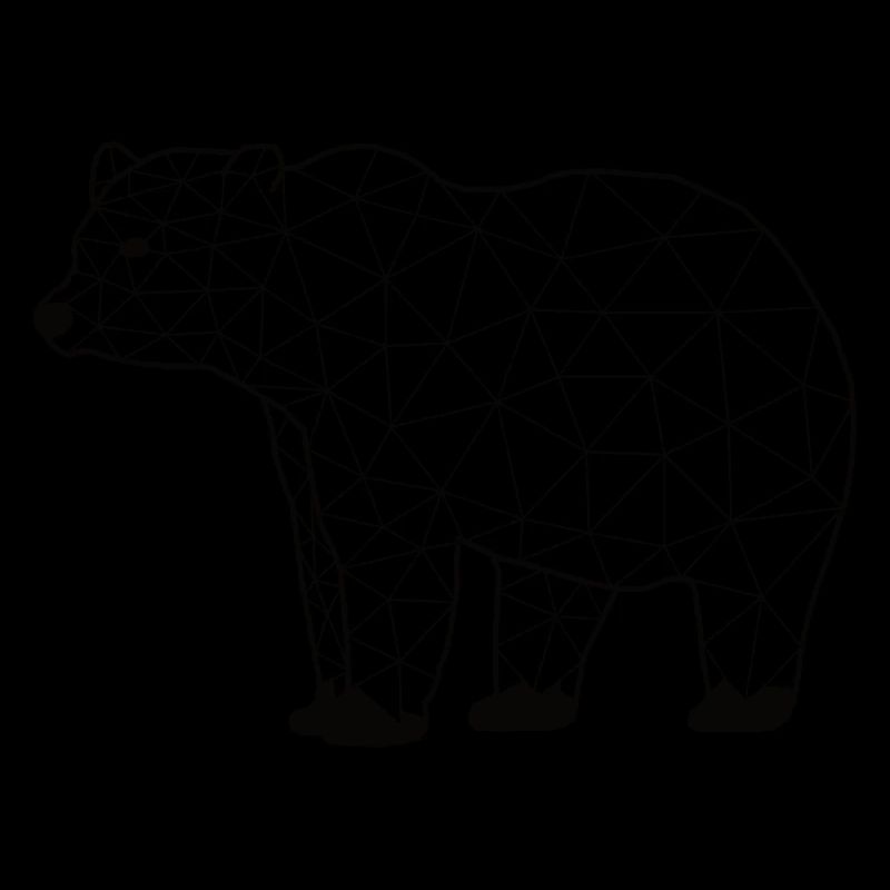Bearr GeomeTRIX