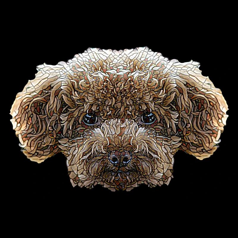 Visage de caniche jouet