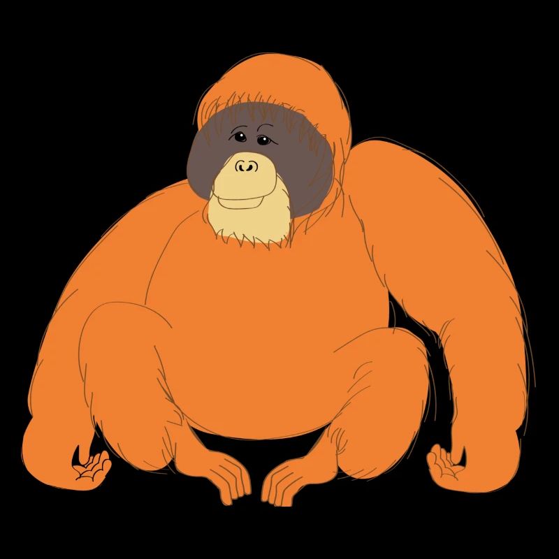 Orangutan orangutan rainforest monkey gift