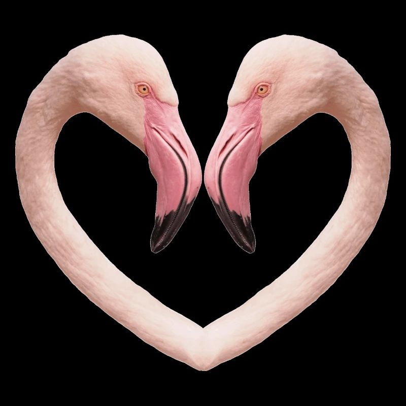 Flamingo-Herz