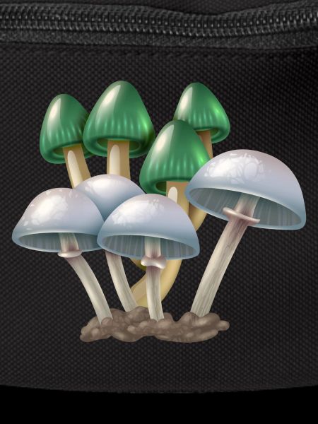 champignons purée de champignons