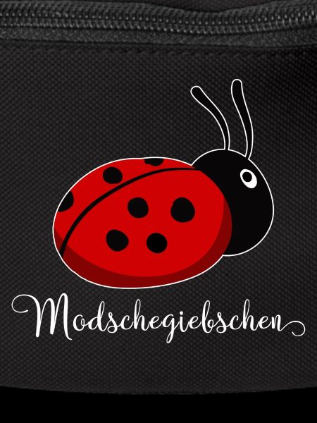 Modschegiebchen Marienkäfer Sächsisch Geschenkidee