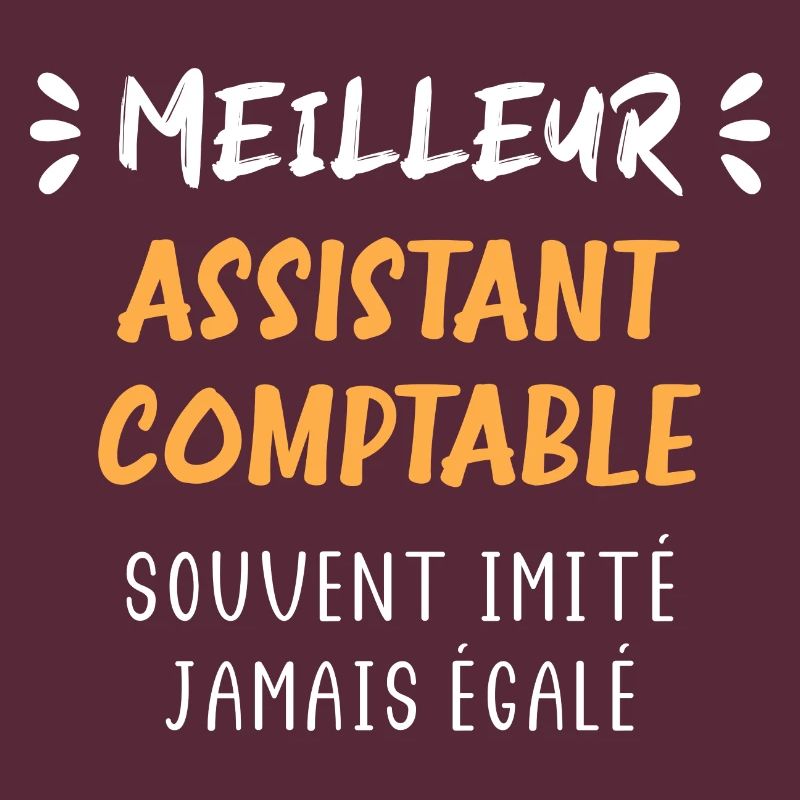 Meilleur assistant comptable