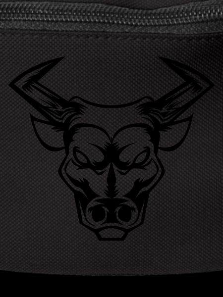 bull stier