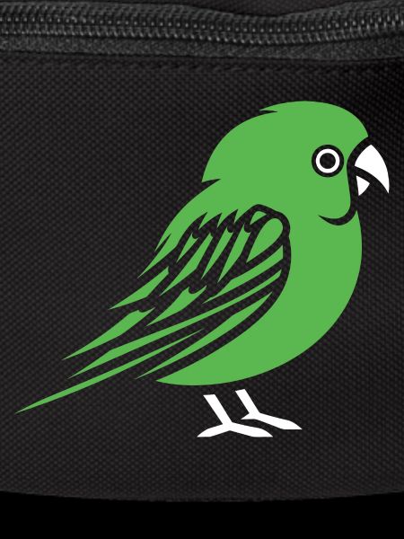 Cute little parakeet