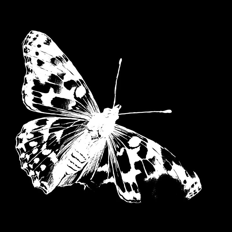 La beauté rare du papillon chardon