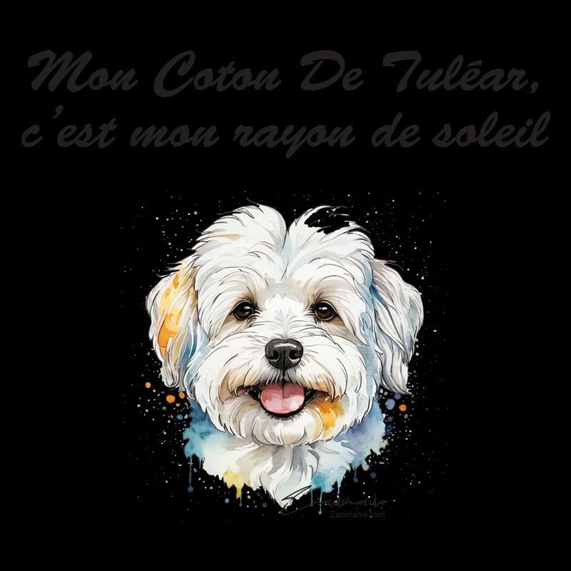 Coton de Tuléar rayon de soleil